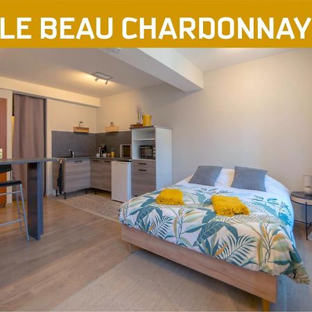 Le Beau Chardonnay, Au Coeur De Chablis Apartment Ngoại thất bức ảnh